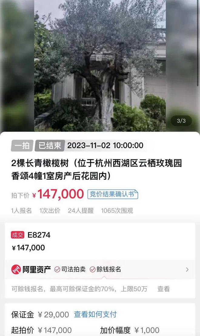 高级家具豪宅业主也被割韭菜？300万买来两棵树 如今147万卖出博业体育(图1)